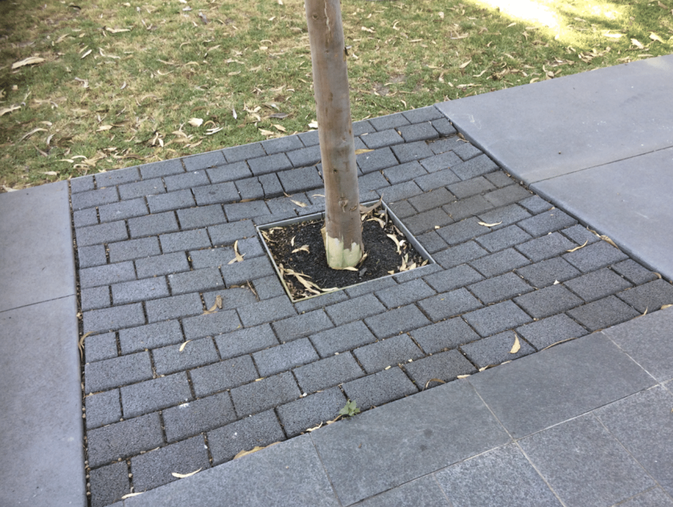 pavers laid by landscapers