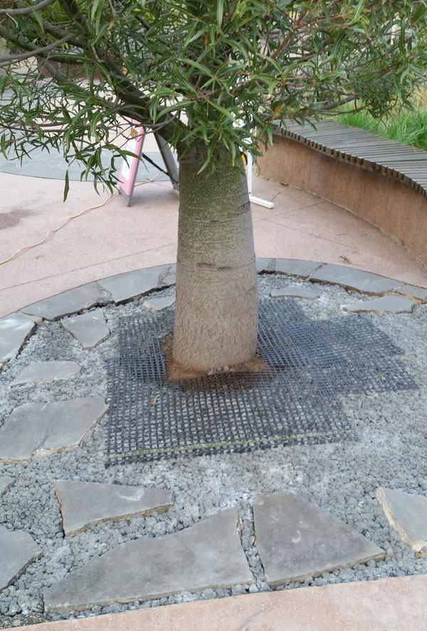 Permeable paving for a tree rootzone